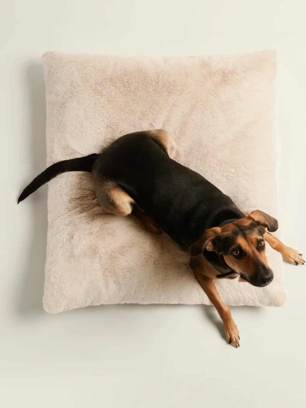 Unhide NEW Floof Pillow Pet Bed $179 MSRP